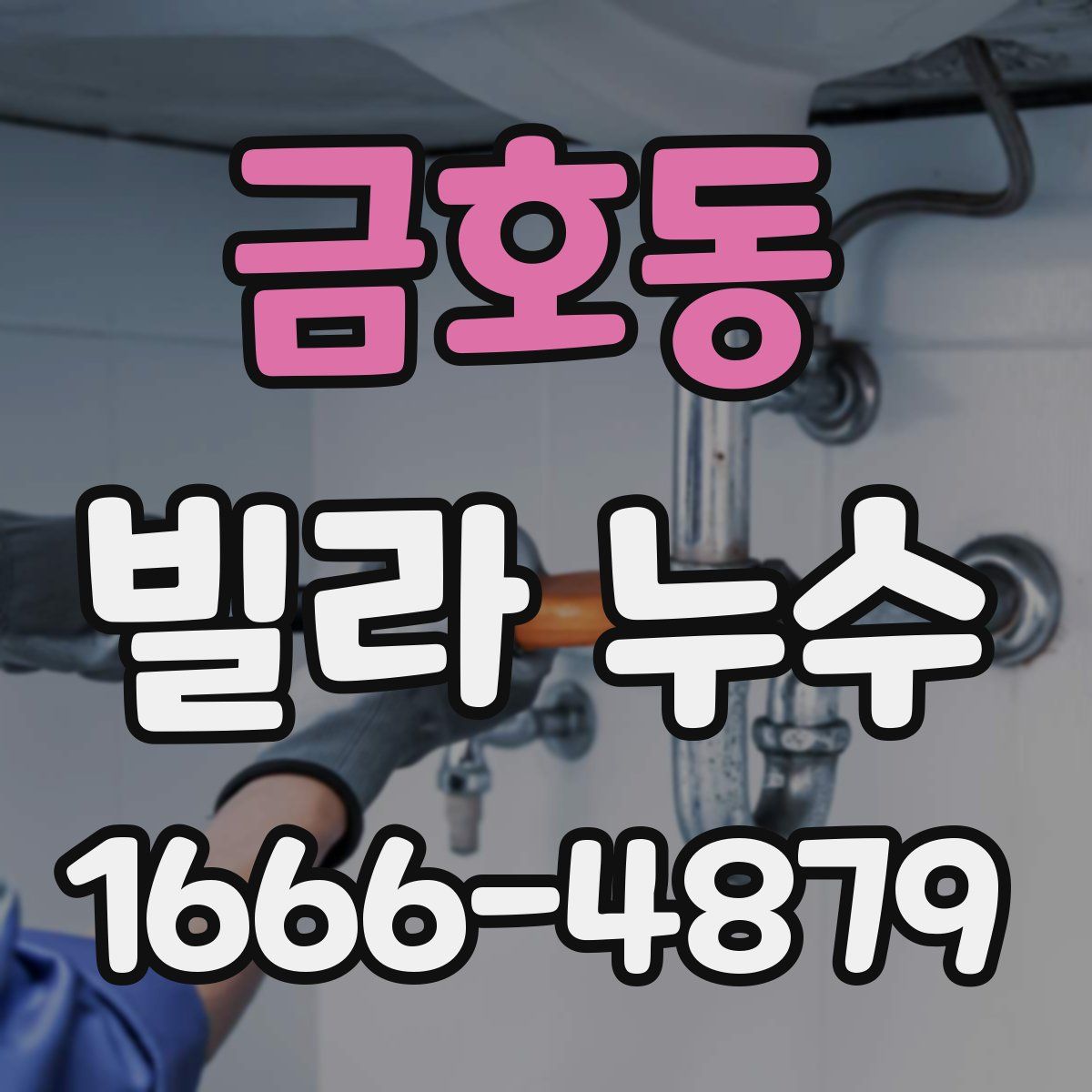 금호동 빌라 누수