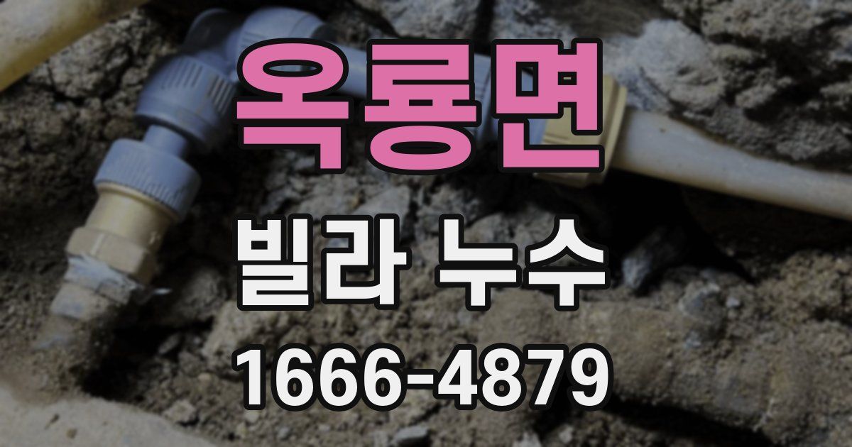 옥룡면 빌라 누수