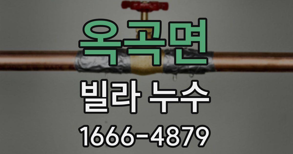 옥곡면 빌라 누수