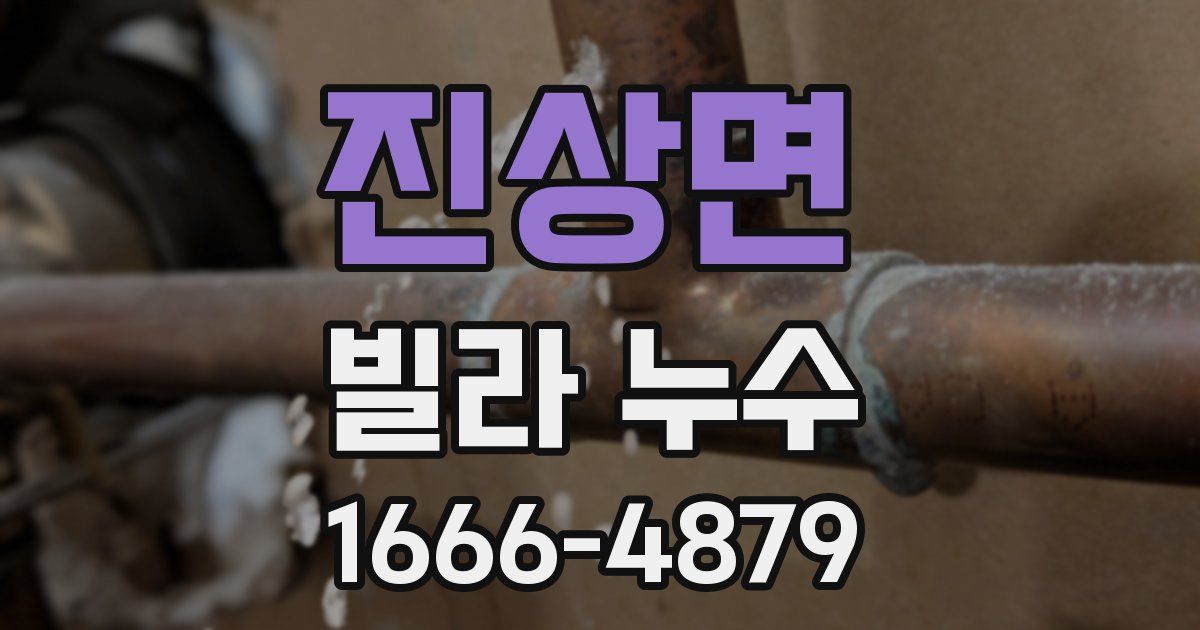 진상면 빌라 누수
