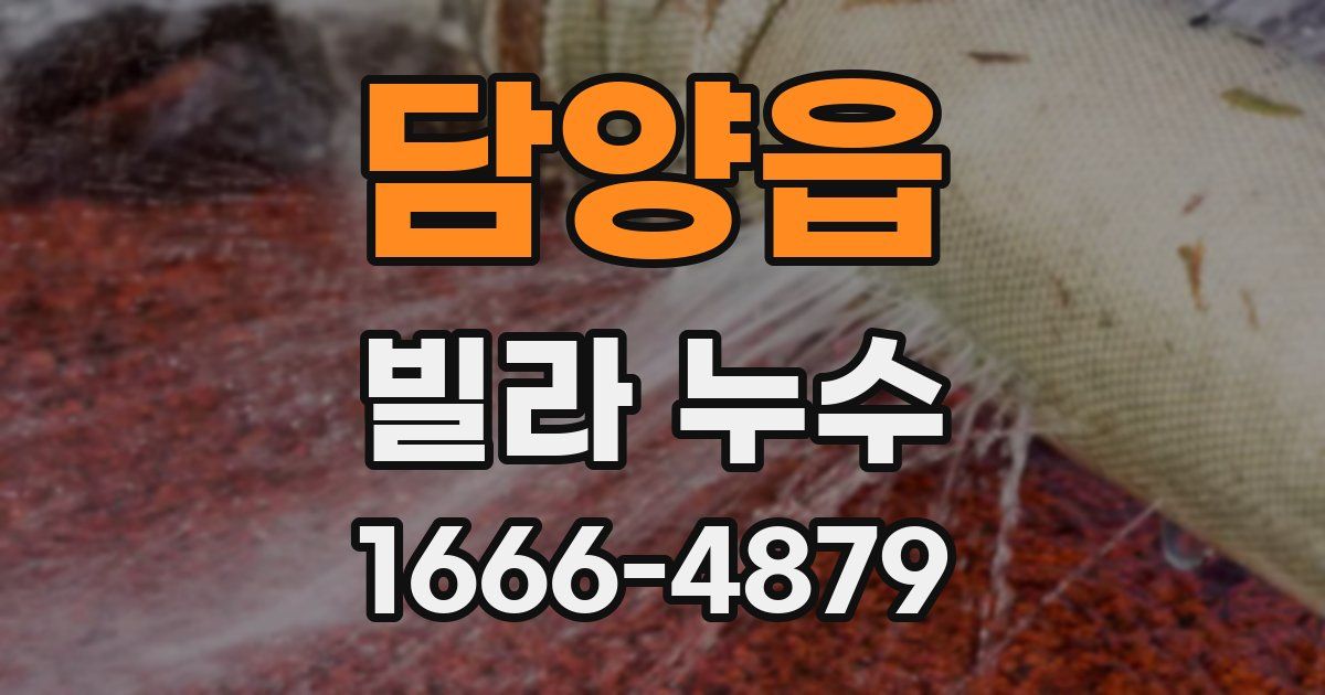 담양읍 빌라 누수
