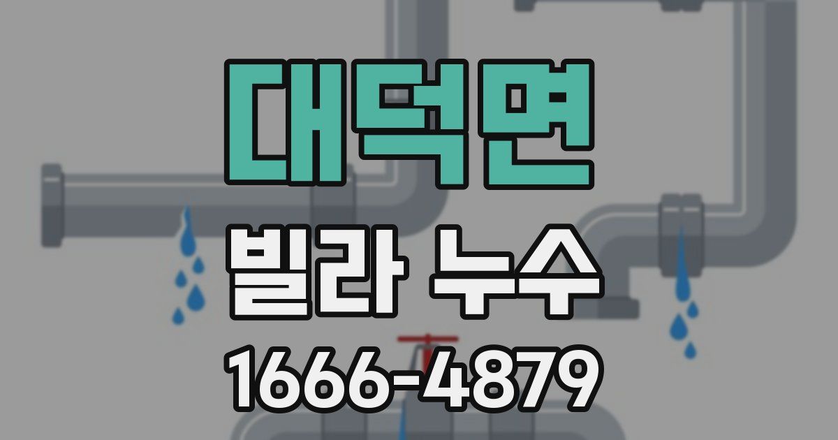 대덕면 빌라 누수