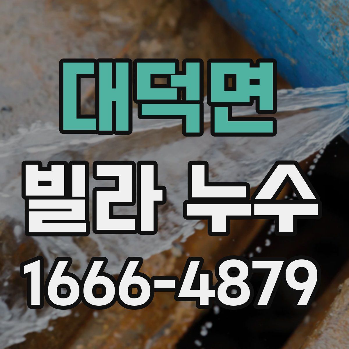 대덕면 빌라 누수