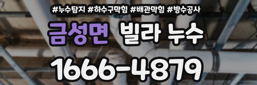 금성면 빌라 누수