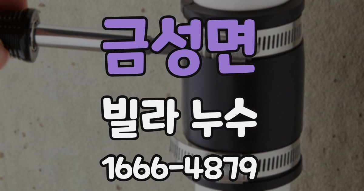 금성면 빌라 누수