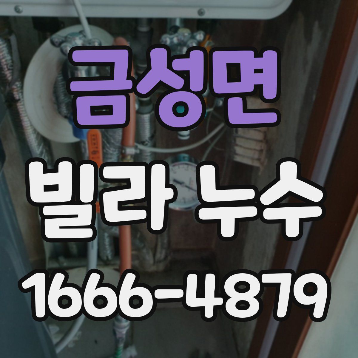 금성면 빌라 누수