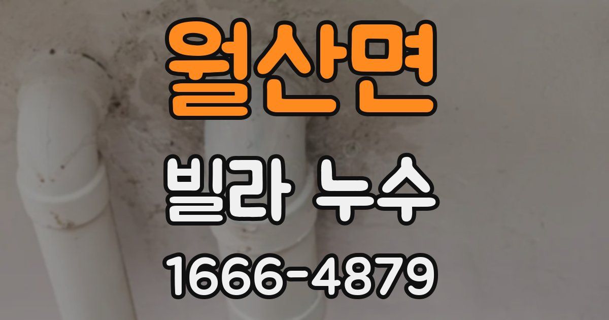 월산면 빌라 누수