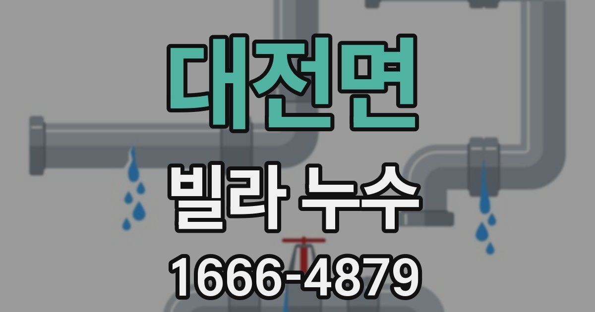 대전면 빌라 누수