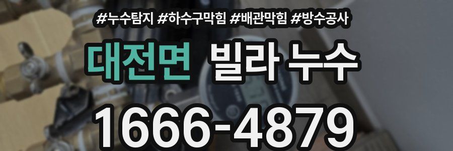 대전면 빌라 누수