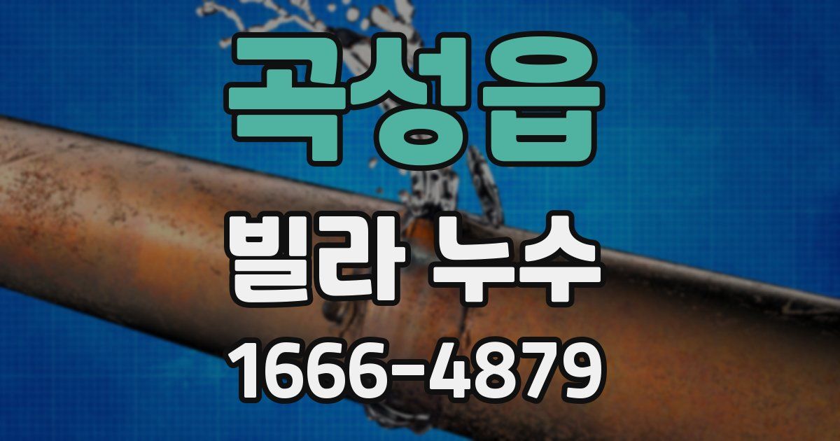곡성읍 빌라 누수