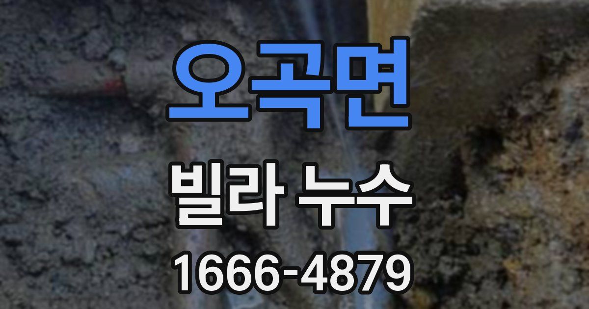 오곡면 빌라 누수