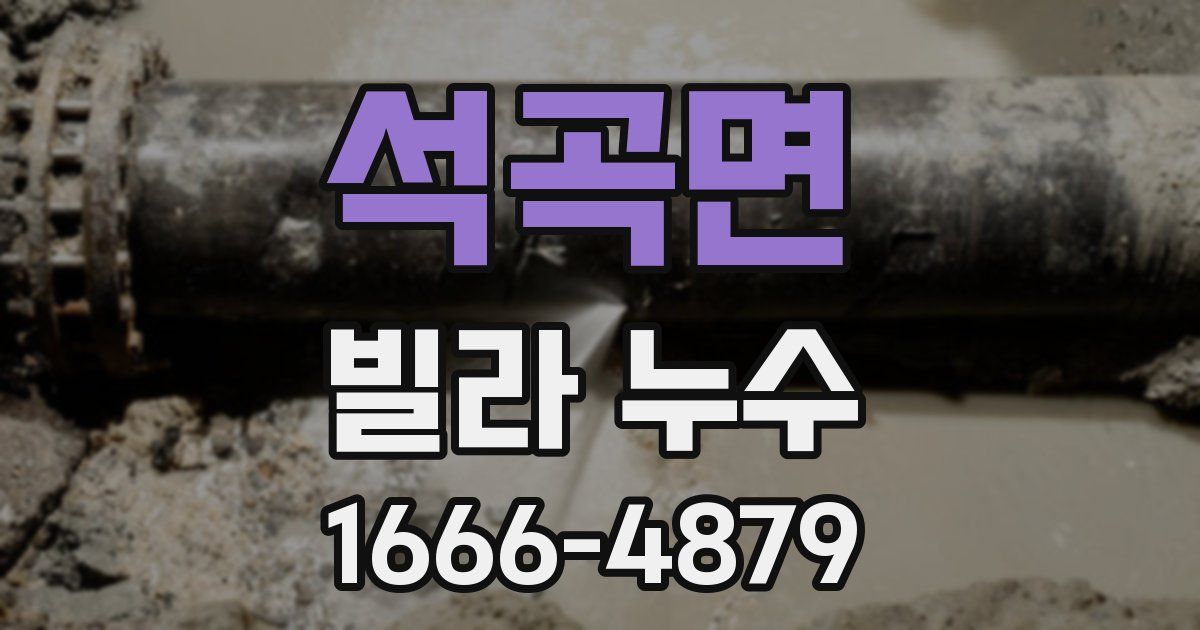 석곡면 빌라 누수