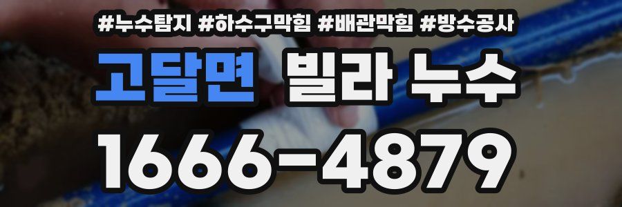 고달면 빌라 누수