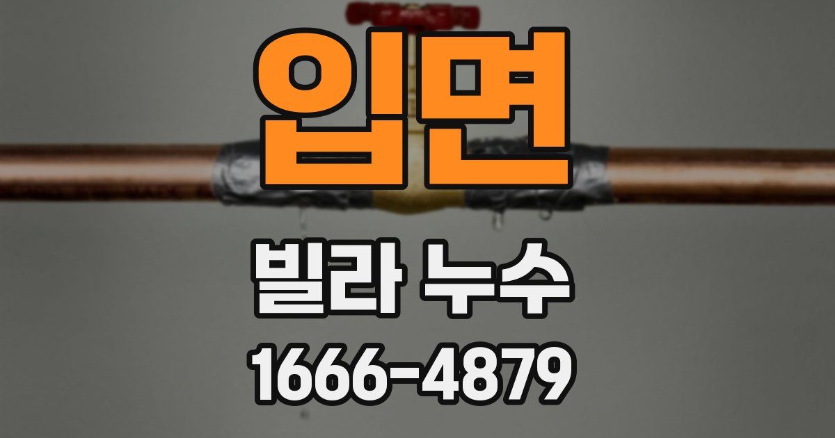 입면 빌라 누수