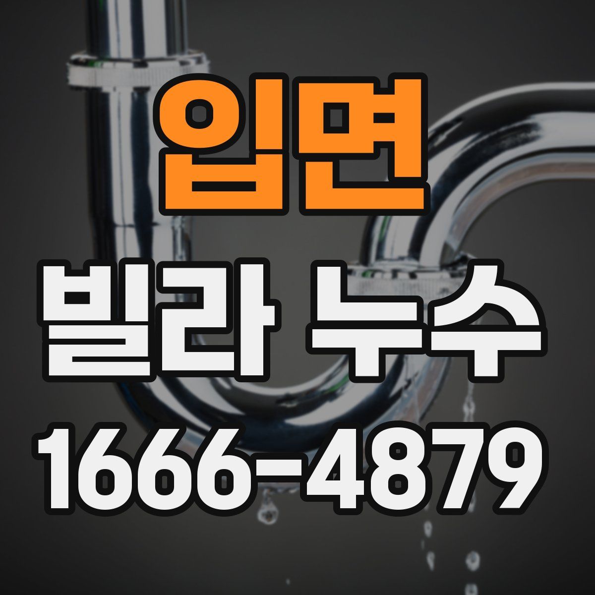 입면 빌라 누수