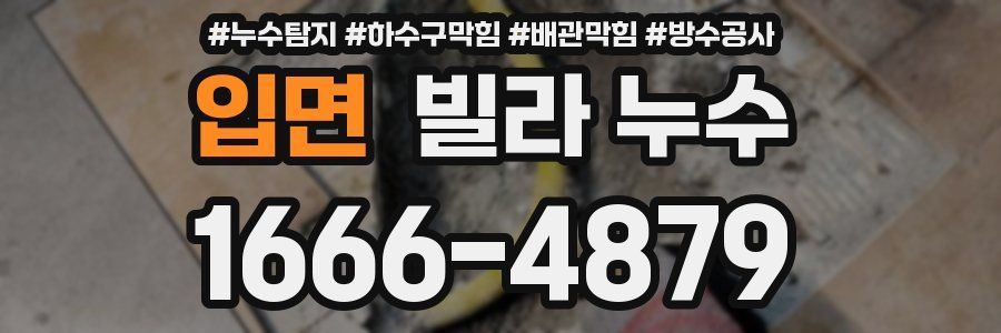 입면 빌라 누수
