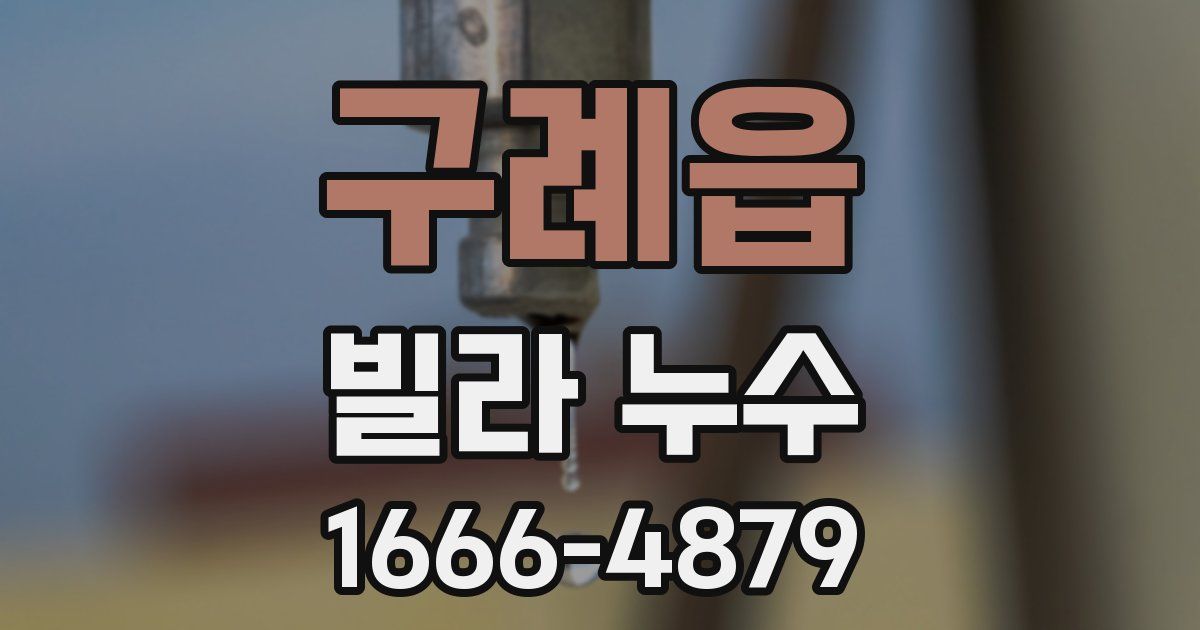 구례읍 빌라 누수