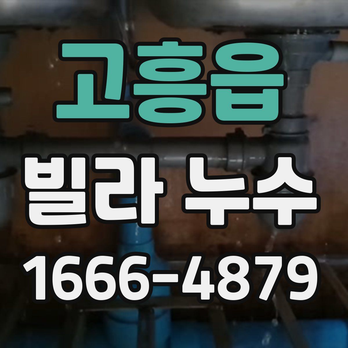 고흥읍 빌라 누수