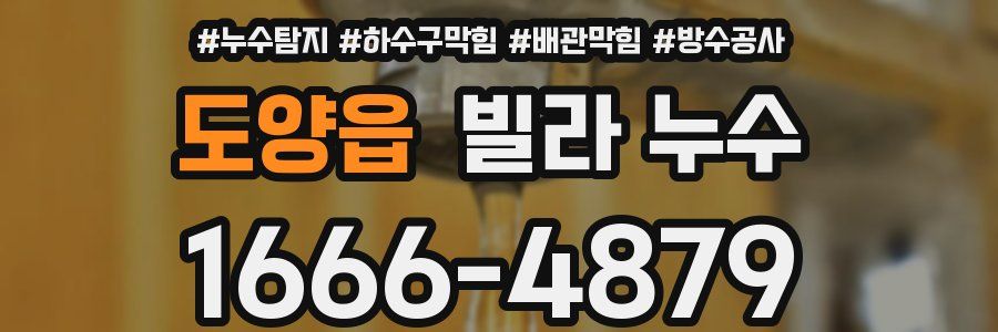 도양읍 빌라 누수