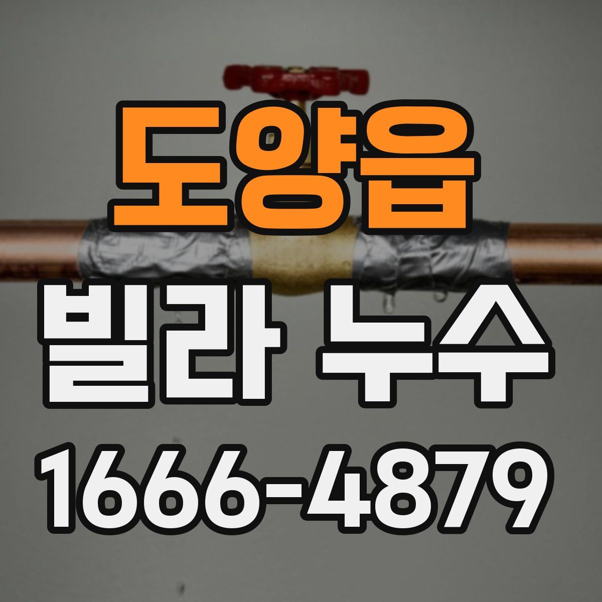 도양읍 빌라 누수