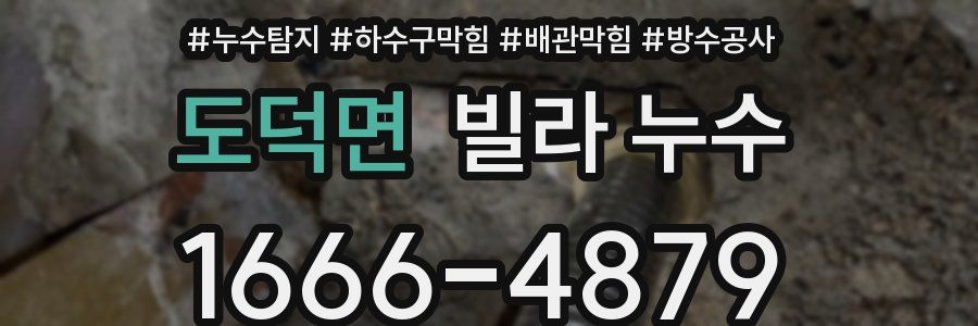 도덕면 빌라 누수
