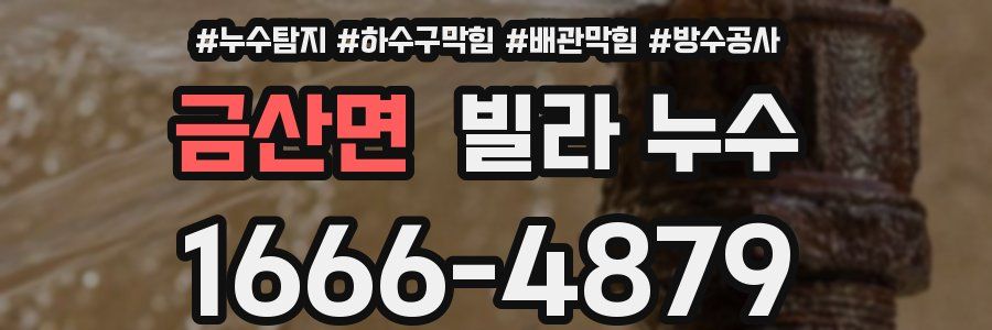 금산면 빌라 누수
