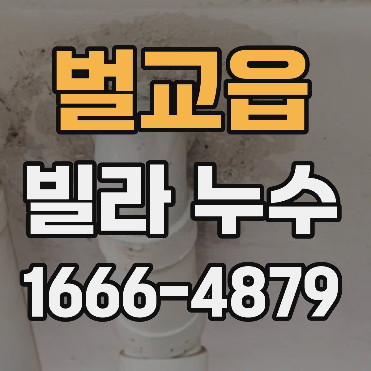 벌교읍 빌라 누수