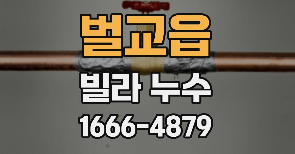벌교읍 빌라 누수