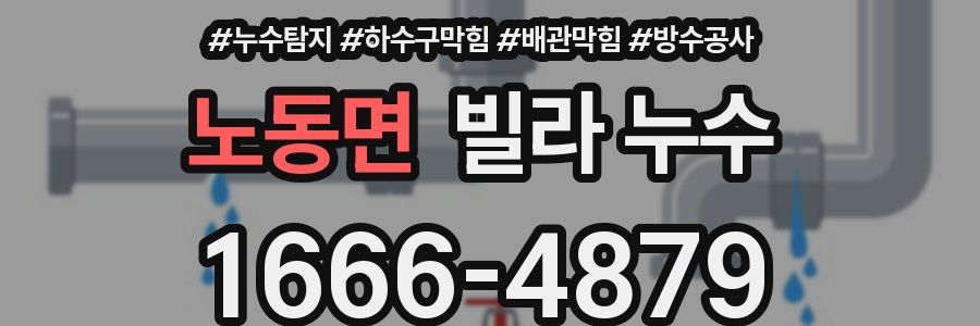 노동면 빌라 누수