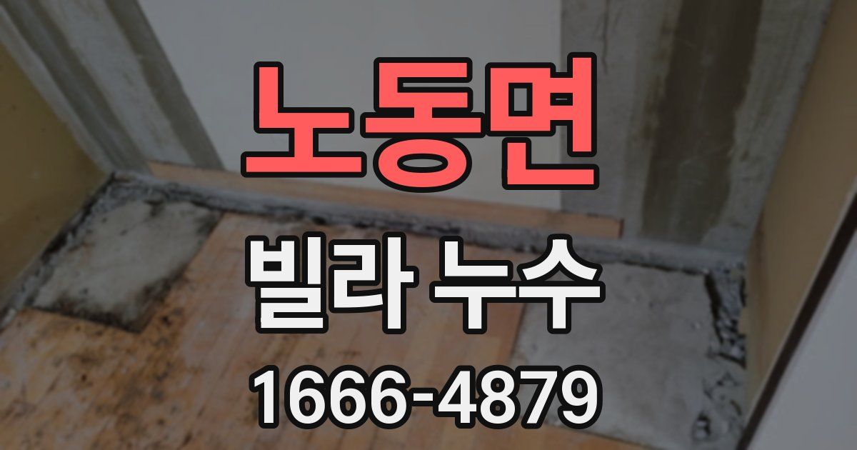 노동면 빌라 누수
