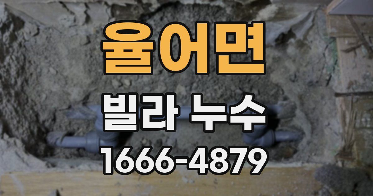 율어면 빌라 누수