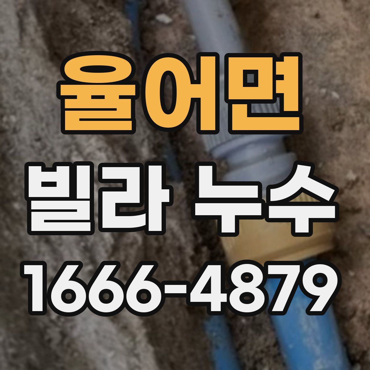 율어면 빌라 누수