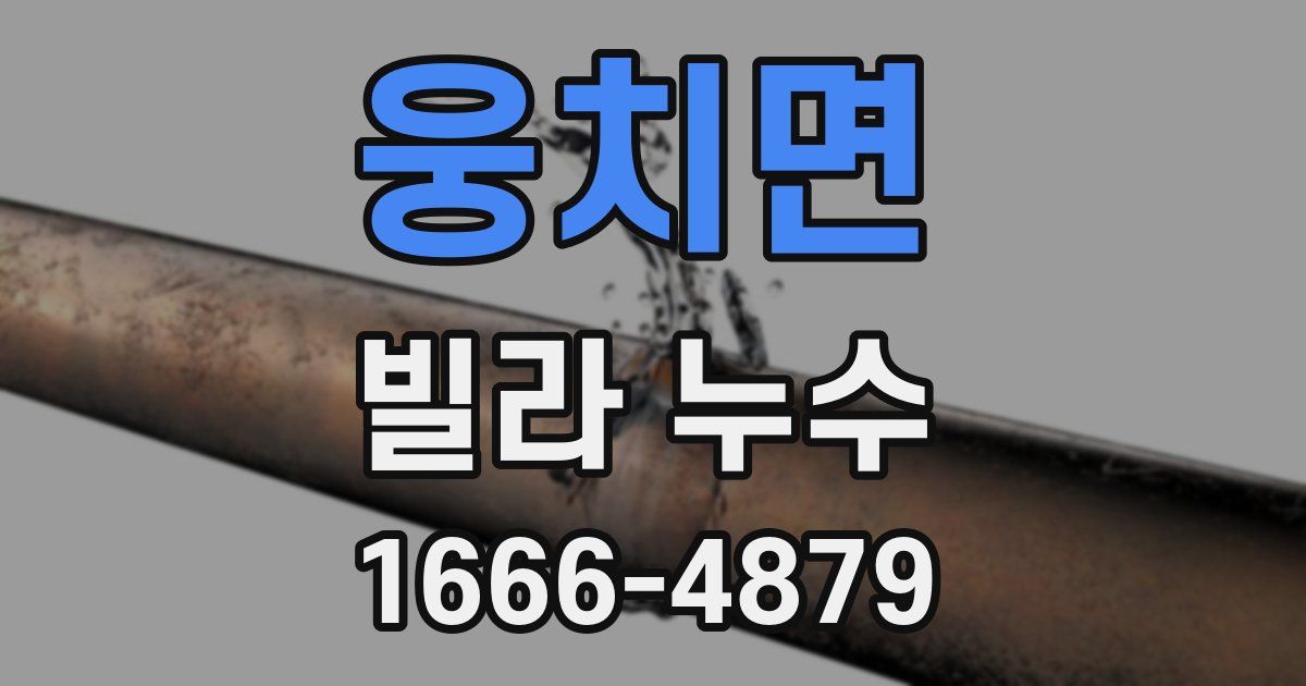 웅치면 빌라 누수