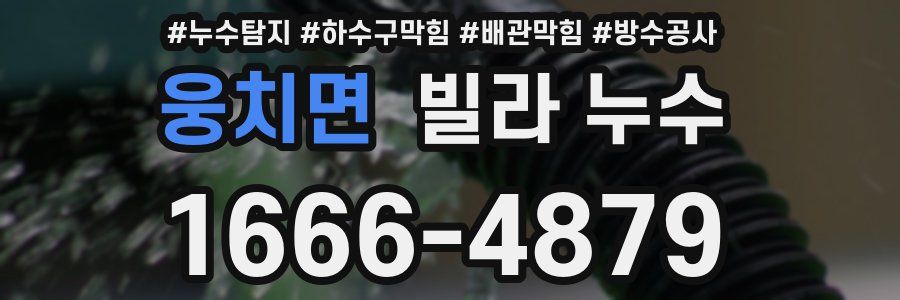 웅치면 빌라 누수