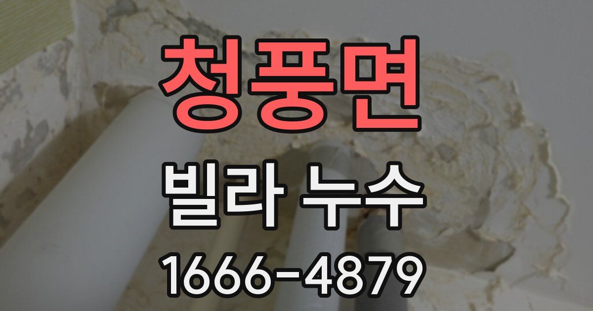 청풍면 빌라 누수