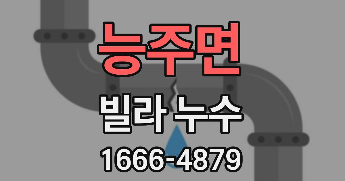 능주면 빌라 누수