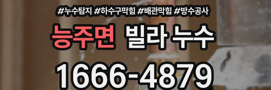 능주면 빌라 누수