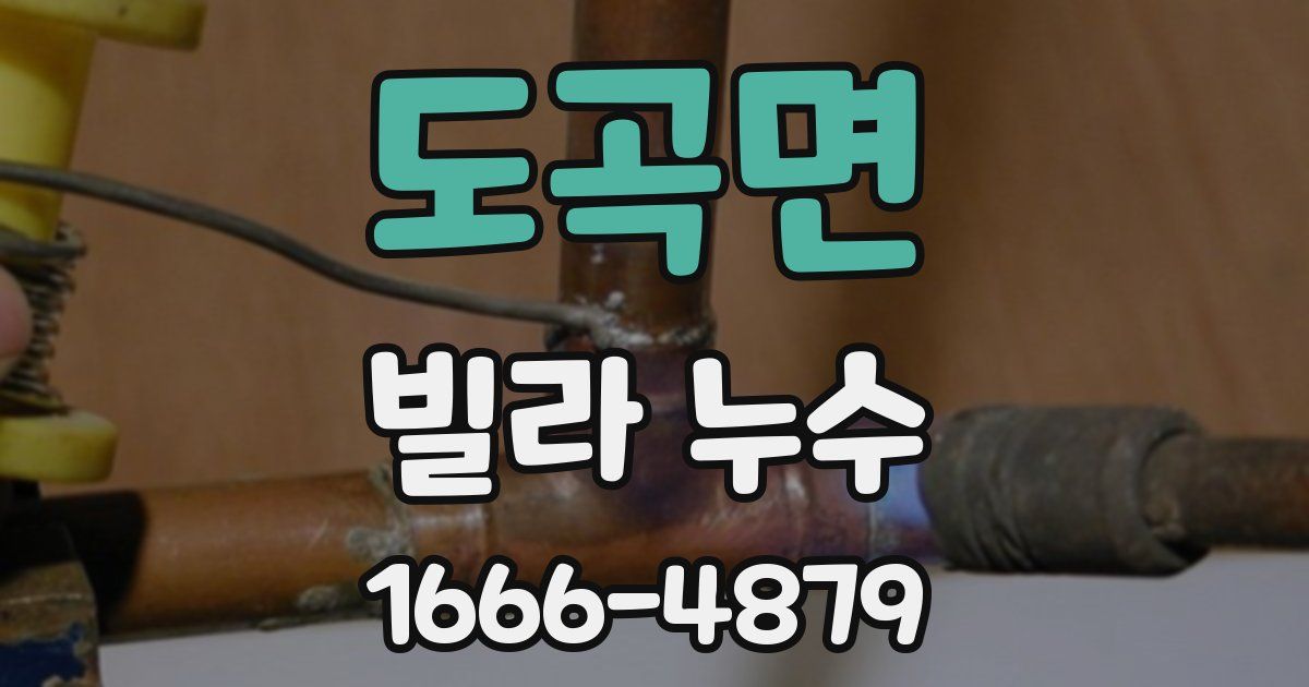 도곡면 빌라 누수
