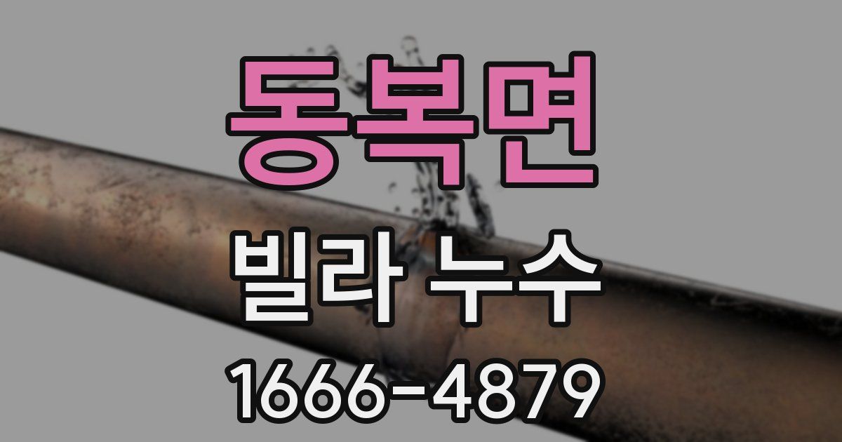 동복면 빌라 누수