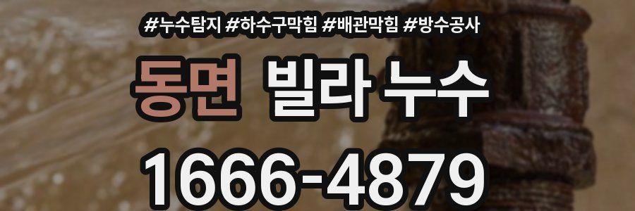 동면 빌라 누수