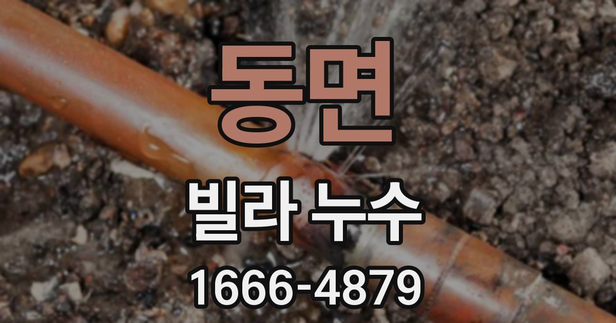 동면 빌라 누수