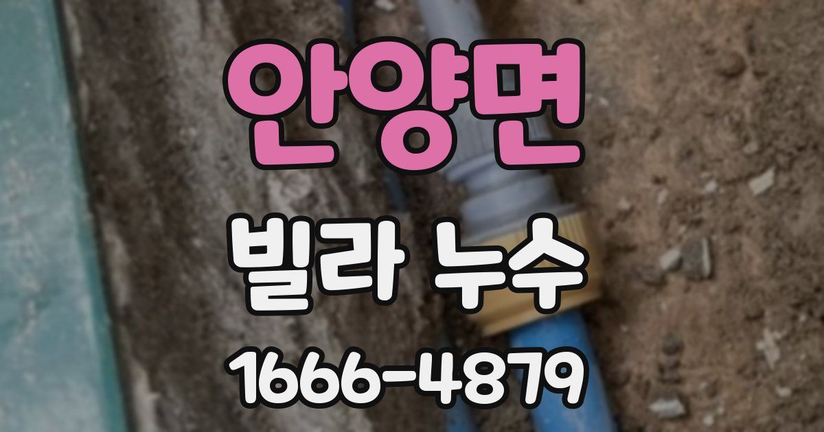 안양면 빌라 누수