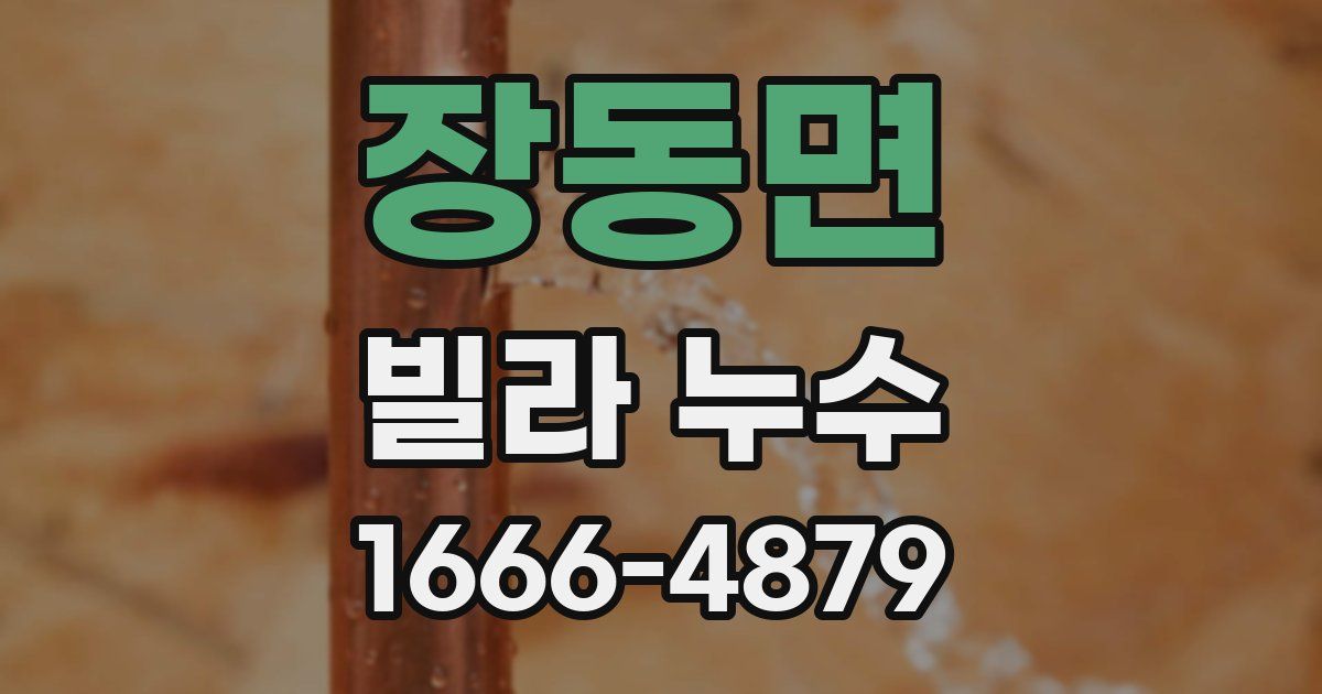장동면 빌라 누수
