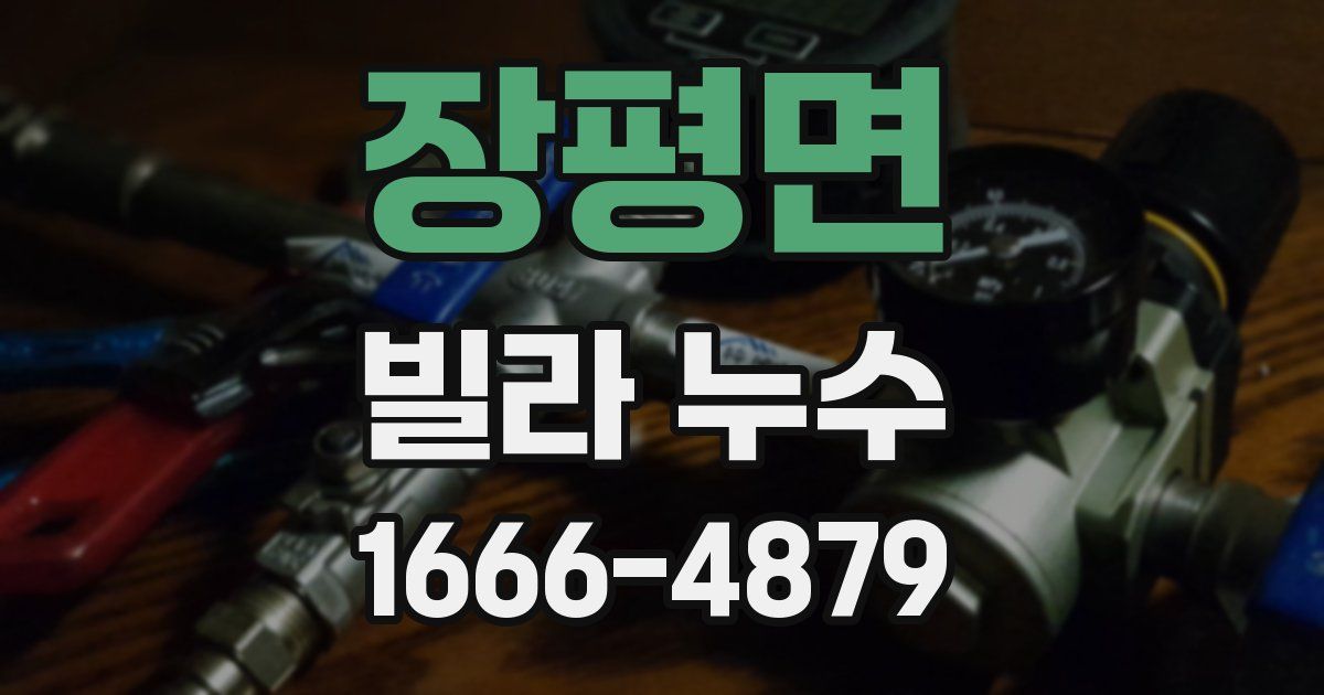 장평면 빌라 누수