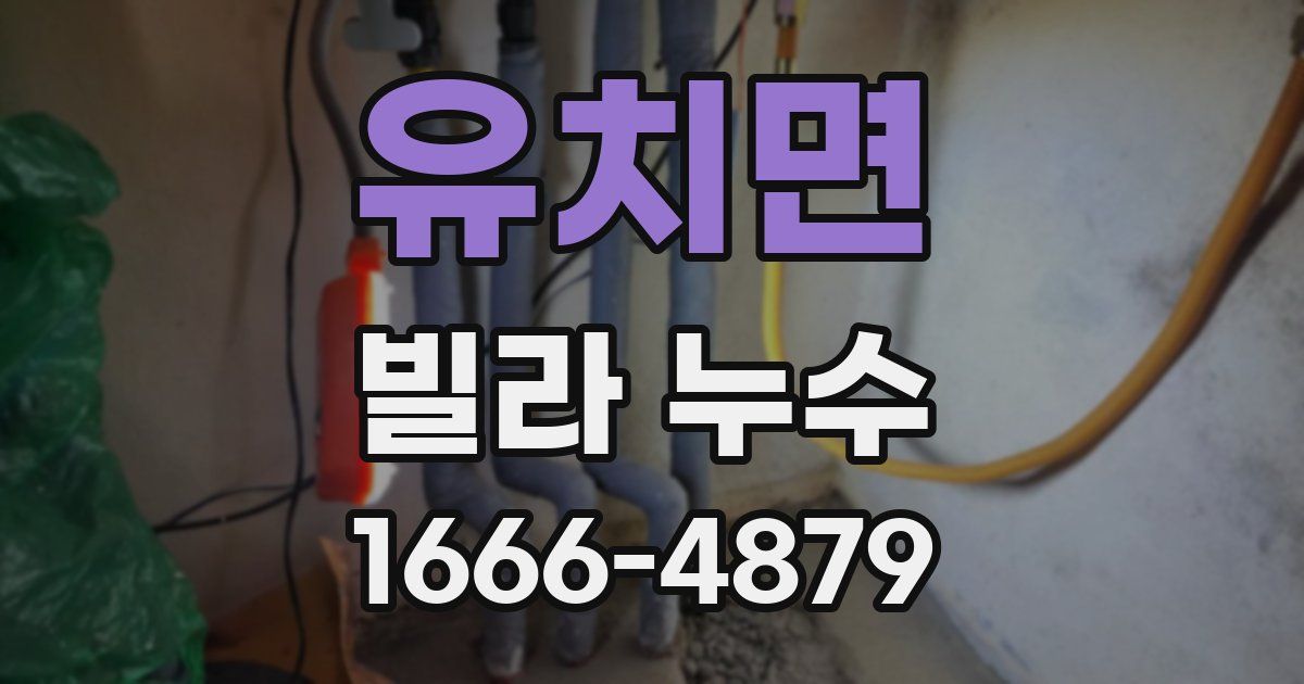 유치면 빌라 누수