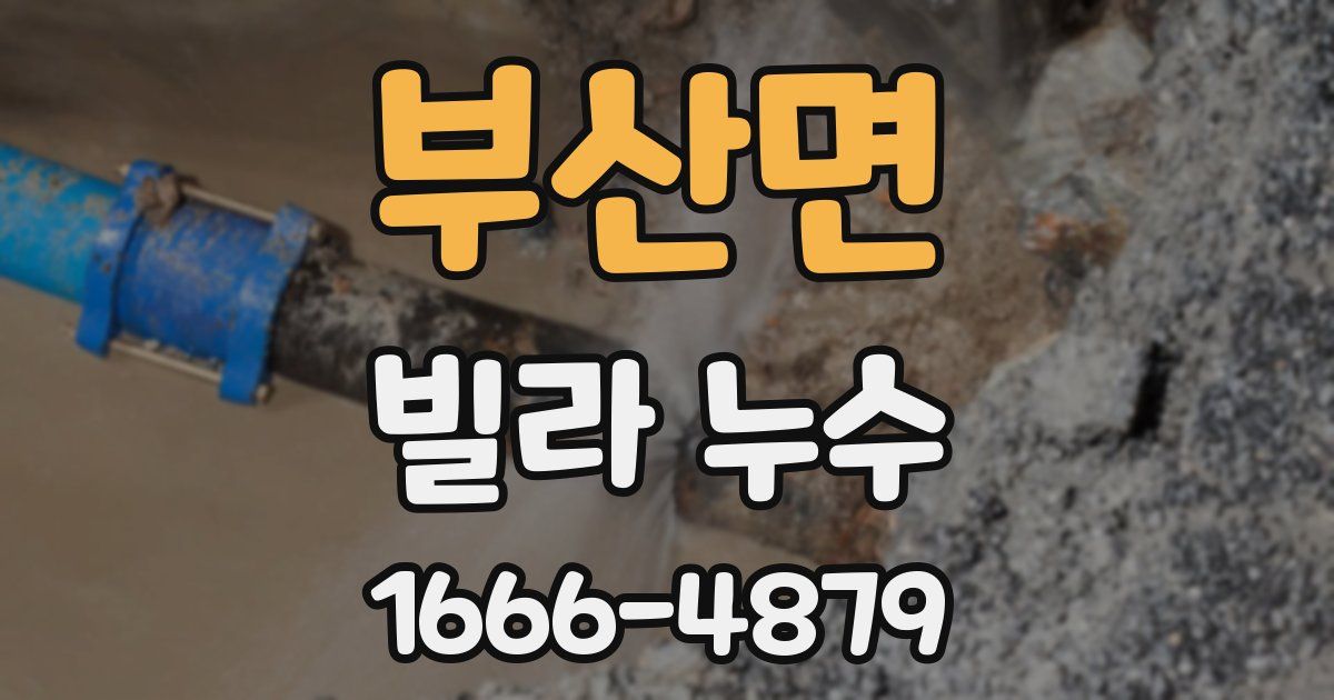 부산면 빌라 누수