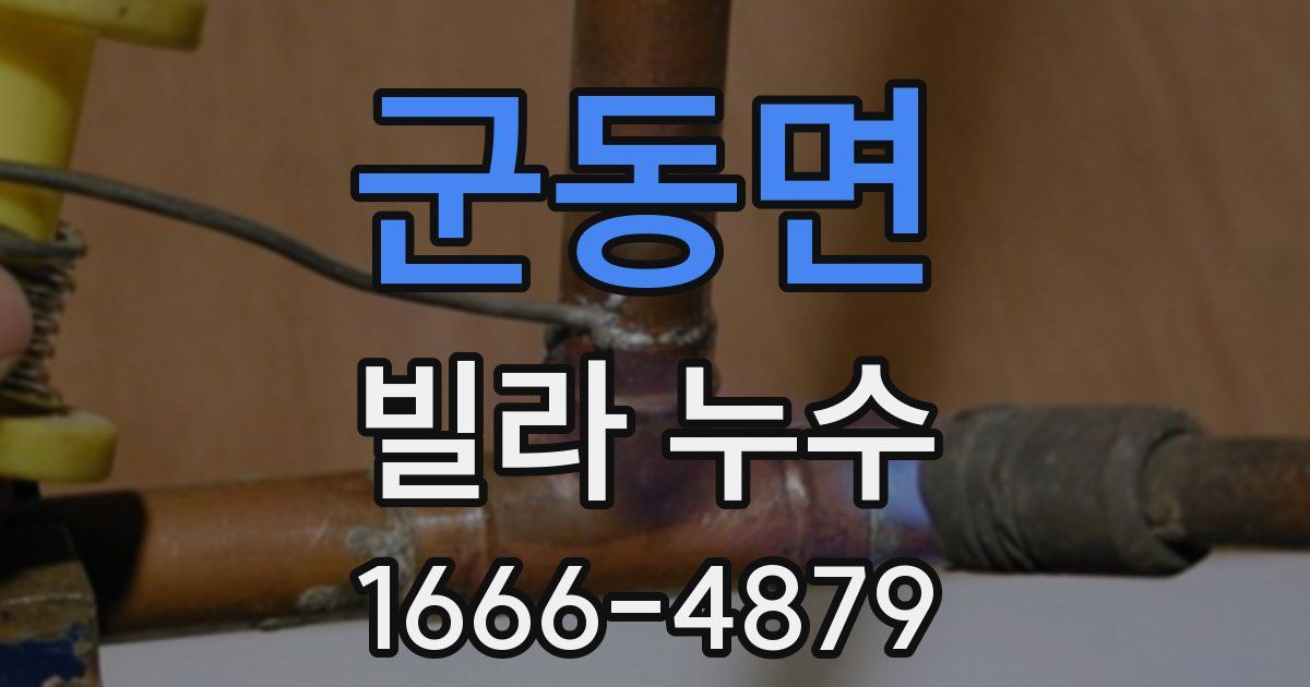 군동면 빌라 누수