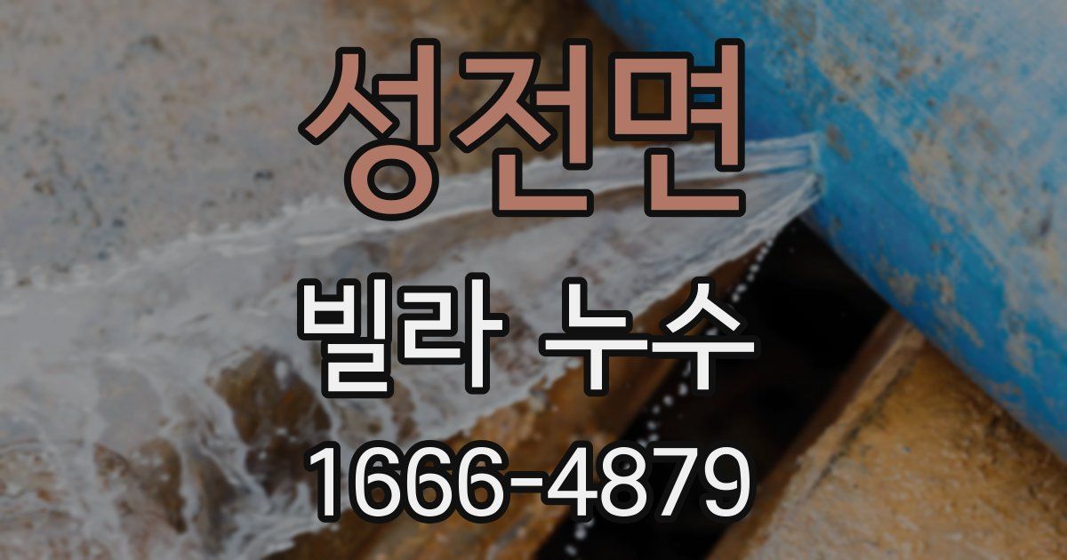 성전면 빌라 누수