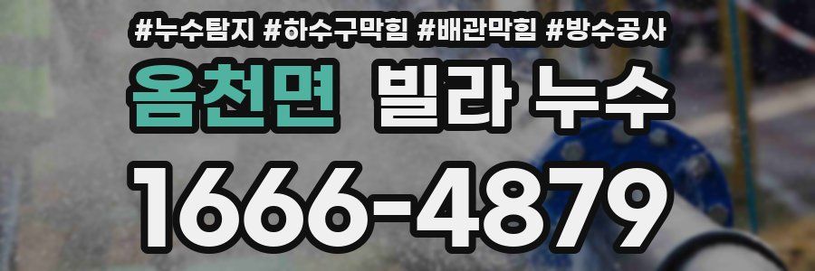 옴천면 빌라 누수
