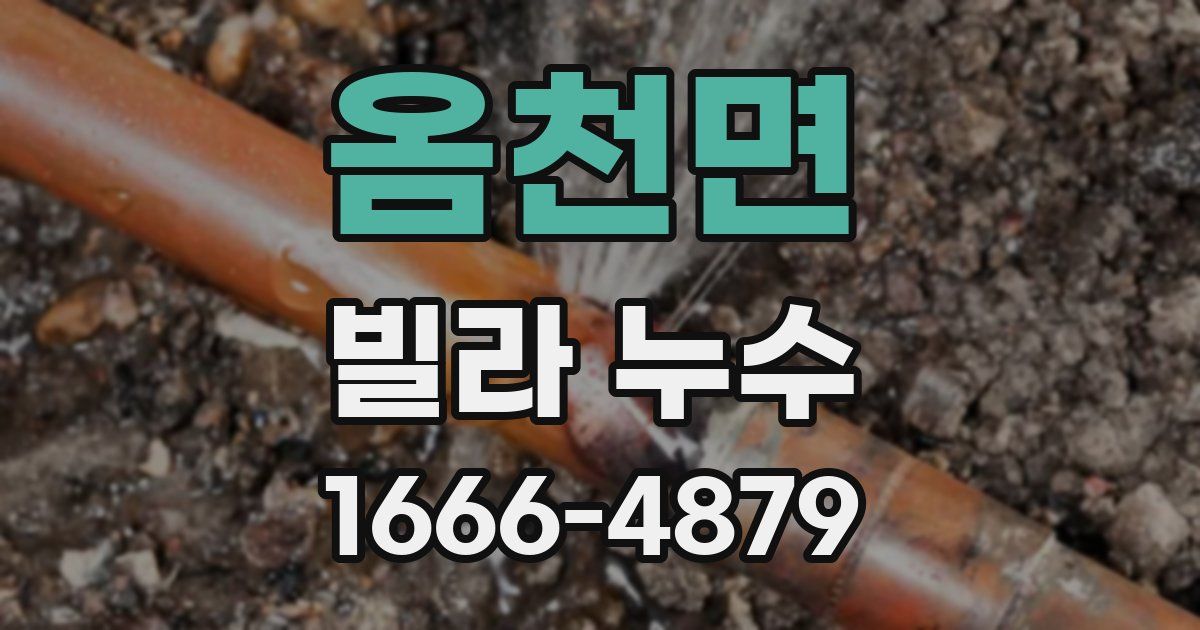 옴천면 빌라 누수